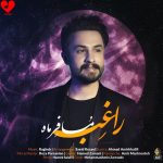 دانلود آهنگ مسافر ماه از راغب (من برای دیدنت مسافر ماه شدم)